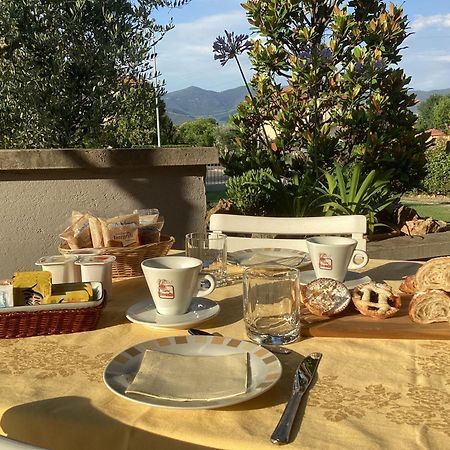 Villa Orsini - A Retreat In Pisa - Food And Relax Dış mekan fotoğraf